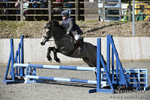 BVRC SJ 170319 196
