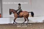 BPP_1278