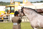 SBM_08871