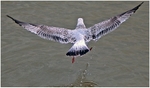 Taking Off (2)