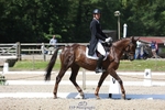 153-GAMEBIRD-Max_Warburton-WEDTrotUp+DR portfolio