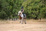 WJ6_9196