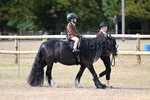 WJ7_6415