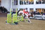 SBM_003872