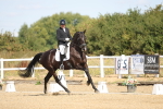 SBM_008528