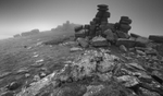Windswept Staple Tor