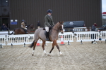 SBM_004674