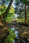 Summer Reflections at Mallards Pike