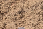 231015A-150312-08870