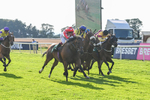 020825-Race 8-Dandy Dinmont-3901