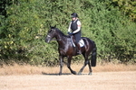 WJ6_6729