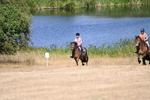WJ6_8748