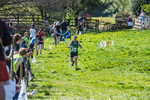 The Finish-434