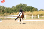 SBM_010517