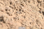 240509A-125342-01898
