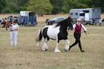 WJ6_5361