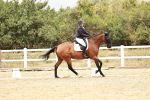 SBM_003776