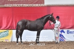 JAC_4829