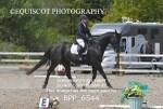 BPP_6544