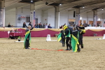 SBM_10186
