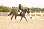 SBM_004565