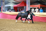 SBM_18430