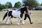 WJ7_8117