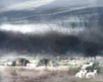 A10 Sheep in Winter Mist  (10 x 8)
