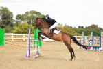 SBM_006941