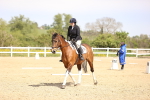 SBM_007894