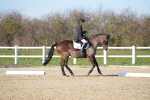 SBM_004323
