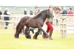 SBM_05964