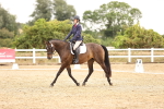 SBM_001984