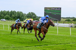 220626-Race 1-Minzelle-8391