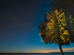 JUNE NIGHT - GEORGIAN BAY