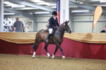 SBM_14654