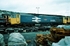 17th July 1988