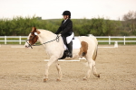 SBM_006540