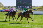 220426-Race 4-Borjina-0495