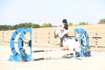 2R6A5000