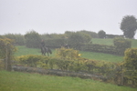 WJ5_7343