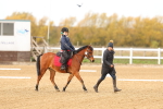 SBM_000256