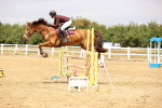 SBM_026203