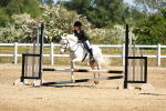SBM_007145