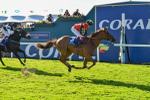 141023-Race 3-Montassib-0998