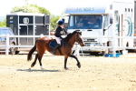 SBM_007140