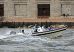 140419 PURE VIDA COBRA RIB WT7A8793