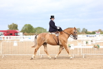 SBM_03396