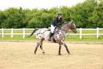 SBM_000685