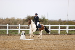 SBM_000807